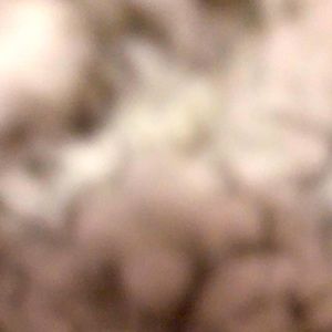 Meet your Posher, Nicea